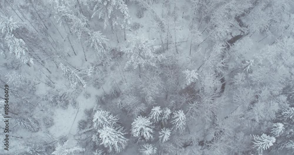 flying over the forest and frozen river flying over the forest and frozen river