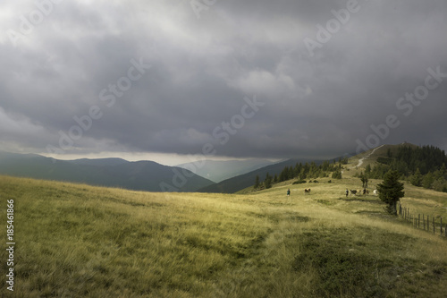 Landschaft in K  rnten