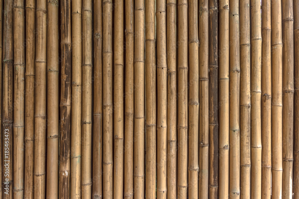 Fototapeta premium Close Up Detail of Bamboo texture and pattern.