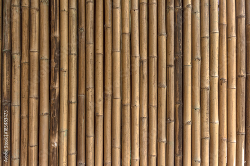 Fototapeta Naklejka Na Ścianę i Meble -  Close Up Detail of Bamboo texture and  pattern.