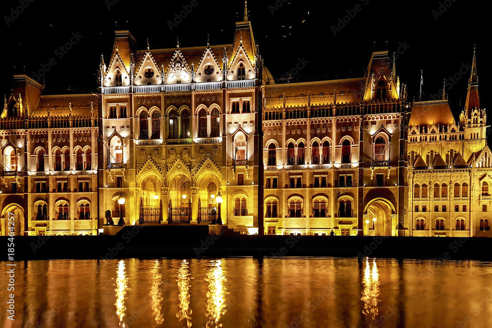 The Hungarian Parliament Building with bright and beautiful illumination at night, birds hovering over it.