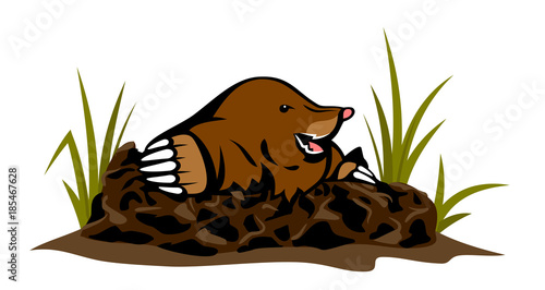 Mole coming out of the hole in the ground