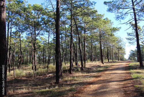 National Park of the Serra de Sao Mamede in Portugal