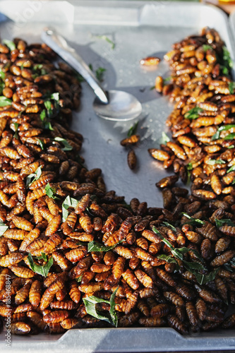 Thai Fried Insect at street food photo