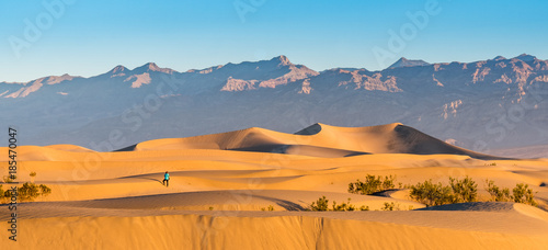 Alone on the Dunes