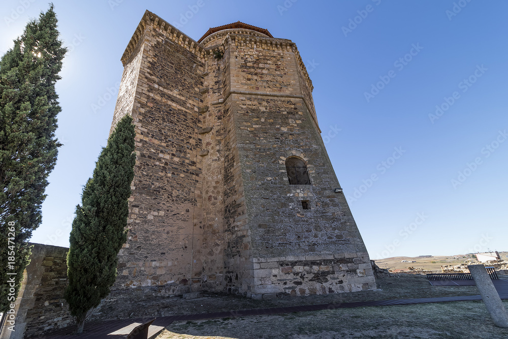 Castle in medieval city of Alba de Tormes, Salamanca,Spain