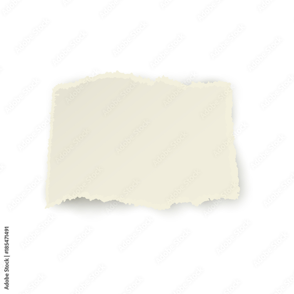 Vector set of torn paper set. Different square shape of blank scraps. Notebook sheets with ripped edges for your design. Realistic isolated illustration on a white background. Vector set of torn paper set. Different square shape of blank scraps. Notebook sheets with ripped edges for your design. Realistic isolated illustration on a white background.