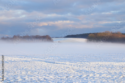 Insel Rügen, Winterlandschaft, Nebel