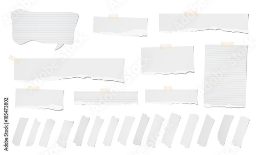 White ripped blank, ripped note, notebook paper strips, sheets, speech bubble, sticky tape for text or message stuck on white background