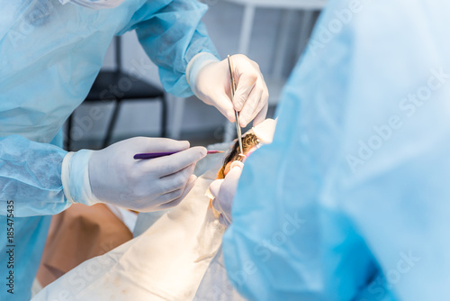 the hands of surgeons physicians doing surgery to the patient in the clinic, the concept of photo medicine, professional doctors, anesthesia