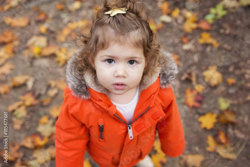 Portrait of a adorable curly hair toddler, in the middle of the autumn scene.