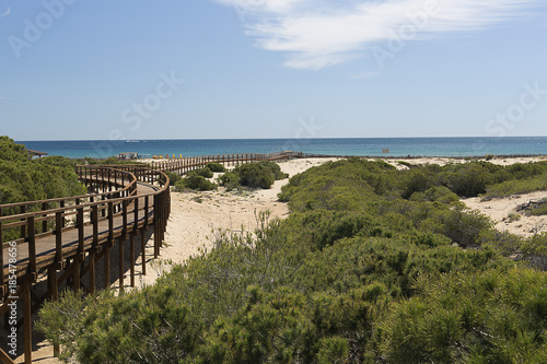 Wooden footbridge in Arenales de Sol, municipality of Elche, in the province of Alicante, Spain.