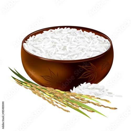 Rice bowl. Hand drawn vector illustration of long-grained rice with panicle on white background.