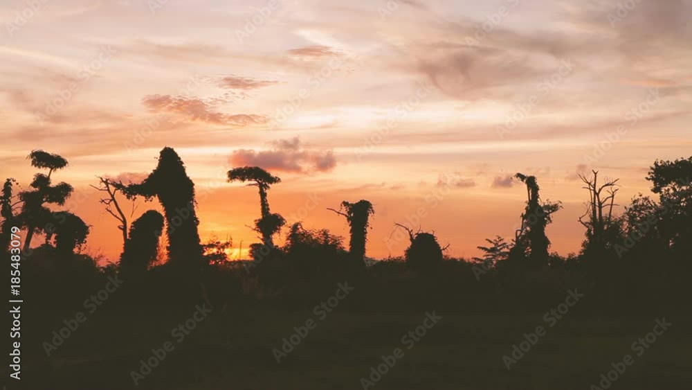 Gorgeous sunset cloudscape on Phuket island. Bottom view through grass. Thailand. Gorgeous sunset cloudscape on Phuket island. Bottom view through grass. Thailand.