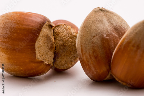 Macro shoot of unpealed dual hazelnut photo