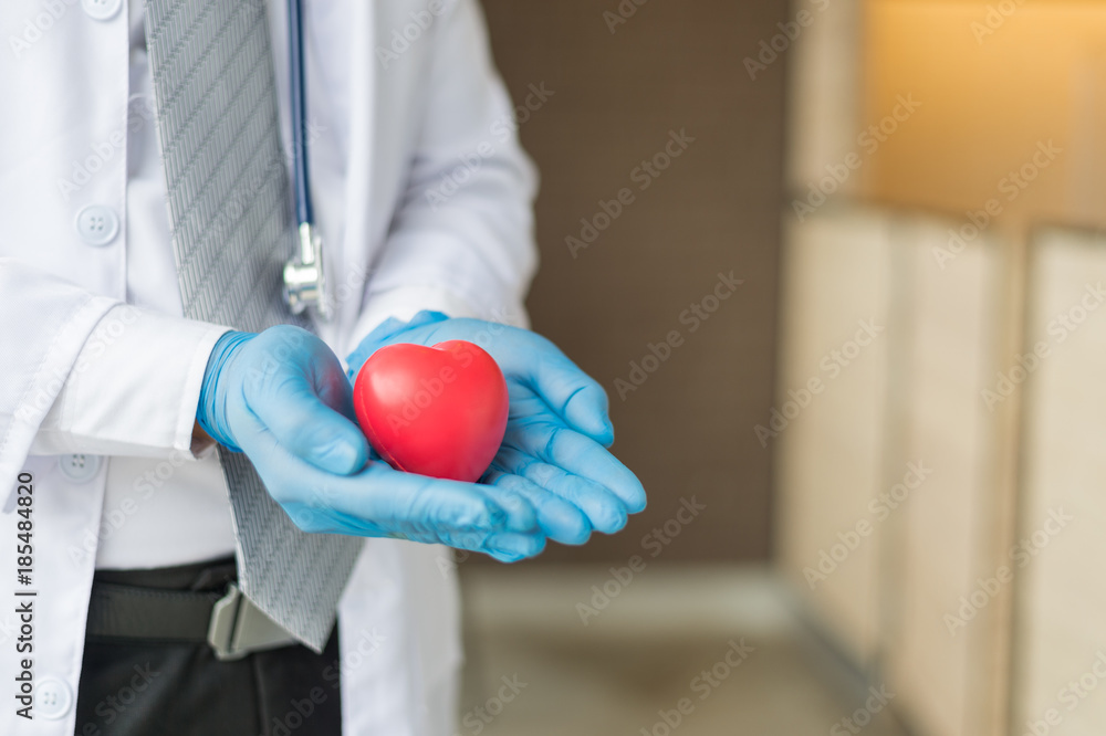 Doctor wear white coat and hand with blue glove holding a red heart in the hospital, concept of health and disease Doctor wear white coat and hand with blue glove holding a red heart in the hospital, concept of health and disease