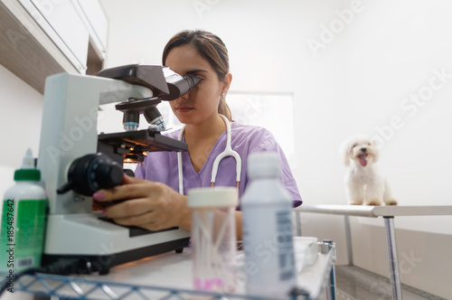Fototapeta Naklejka Na Ścianę i Meble -  Clinic Staff With Woman Working As Veterinary In Pet Shop
