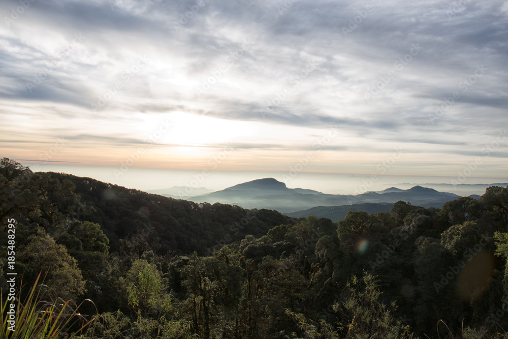 Obraz premium Morning mist on the mountain golden sun.