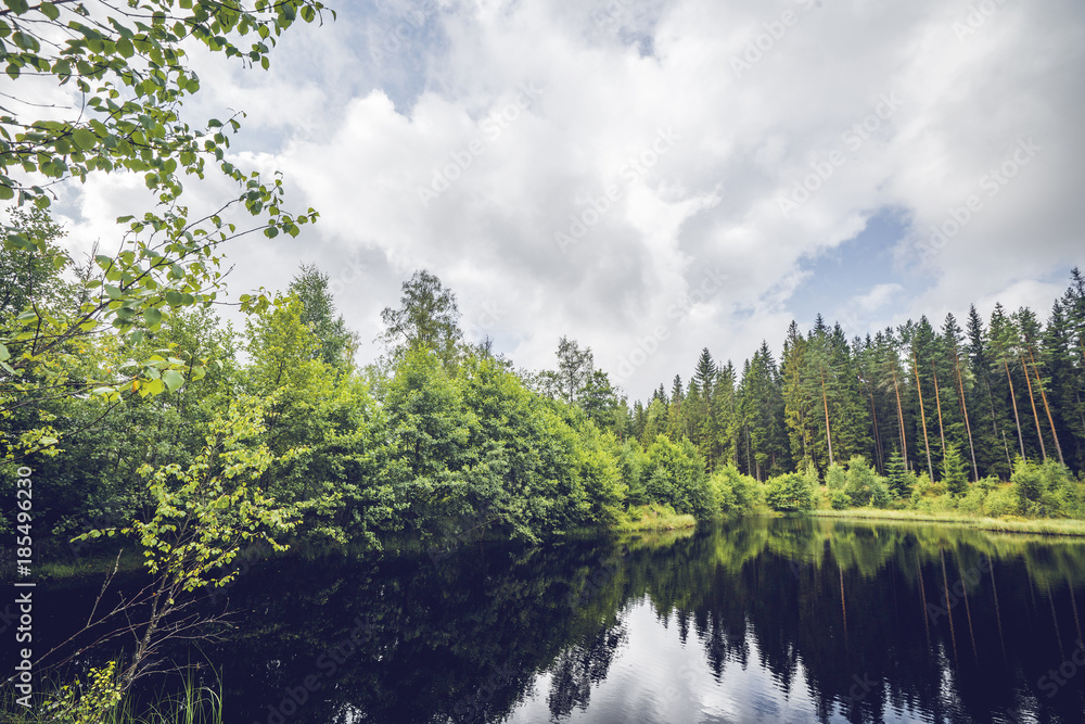 Dark lake in a forest with green trees reflecting Dark lake in a forest with green trees reflecting