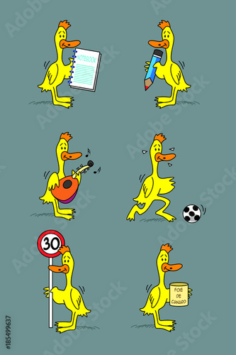 Canard Jaune