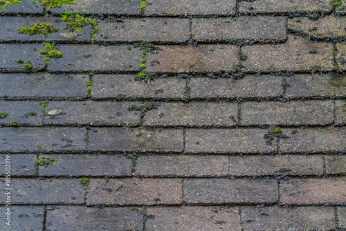 English Mossy Roof Textures