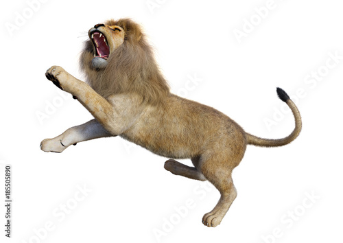Fototapeta Naklejka Na Ścianę i Meble -  3D Rendering Male Lion on White