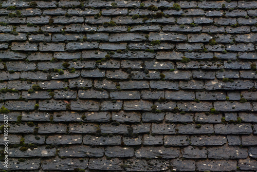 English Mossy Roof Textures