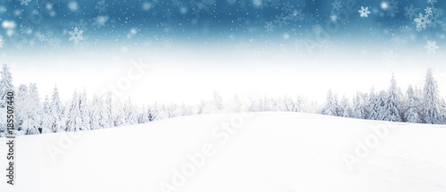 Winter forest and meadow landscape with snow flakes.