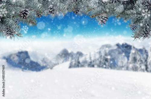 Winter background with fir branches. Free space for text. © Jag_cz