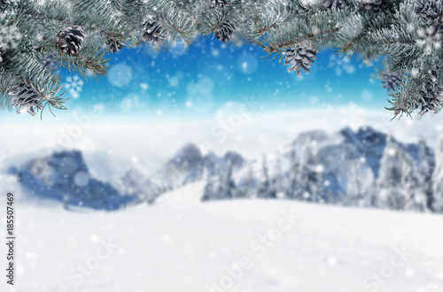 Wallpaper Mural Winter background with fir branches. Free space for text. Torontodigital.ca