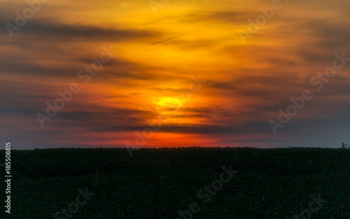 Sunset over farm field