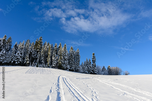 Schneespuren von Ski am Hügel vor dem Wald