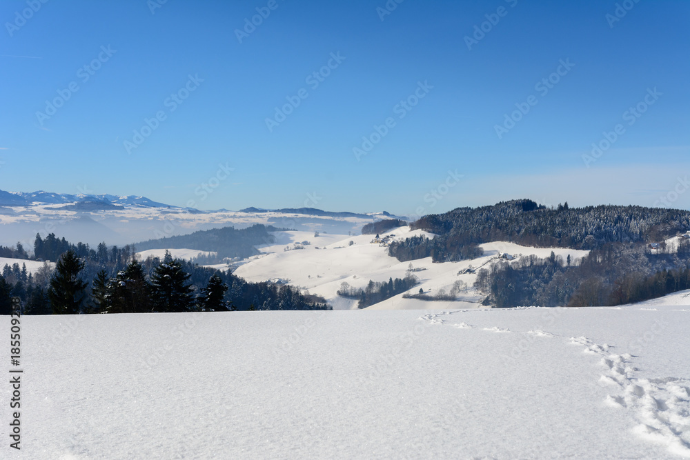 Idylle im Winter mit schönem Blick in die Alpen