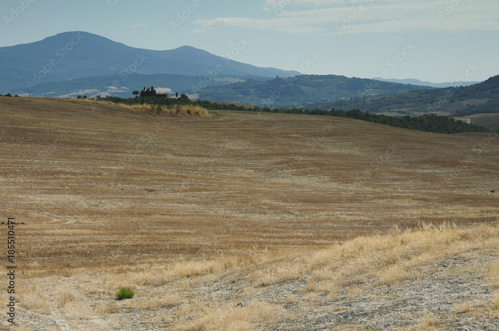 Obraz premium Paesaggio rurale in Val d'Orcia, Toscana, Italia