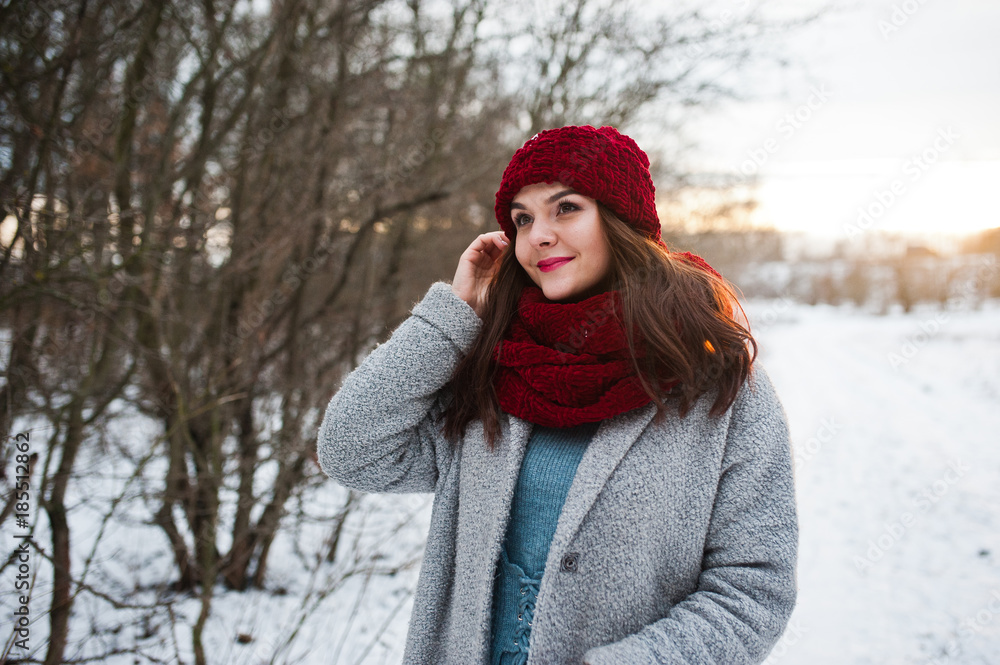 Portrait of gentle girl in gray coat , red hat and scarf near the branches of a snow-covered tree. Portrait of gentle girl in gray coat , red hat and scarf near the branches of a snow-covered tree.