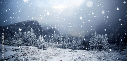 Trees covered with hoarfrost and snow in winter mountains - Christmas snowy backgroundic holiday background