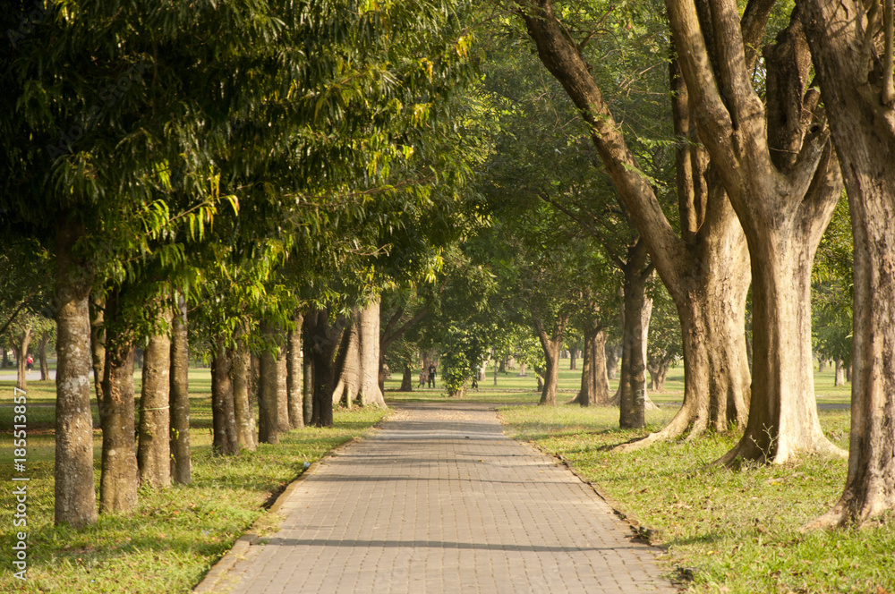 Park Park