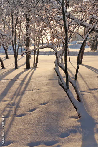Winter is coming in the city.