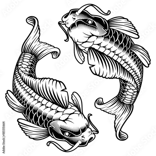 koi carp (monochrome version)