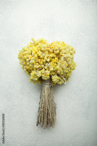 Healing herb dry immortelle on a white background.