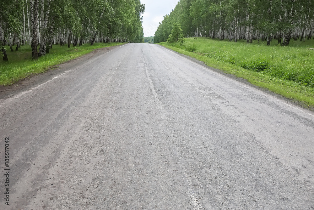 Obraz premium summer landscape with road