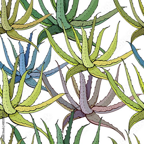 Seamless pattern with traditional homeplant aloe vera. Endless texture with flower used indoor.