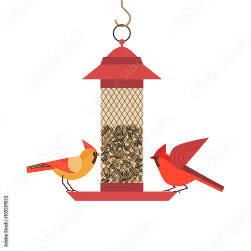 Bird feeding poster