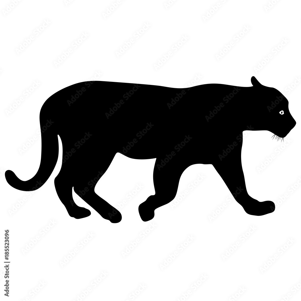 Silhouette beautiful panther on a white background