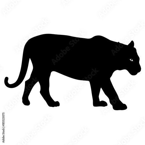 Silhouette beautiful tiger on a white background