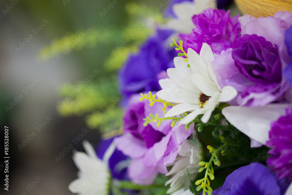 close up beautiful flower purple tones