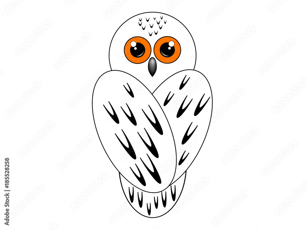Obraz premium Snowy owl sits with his back on white background