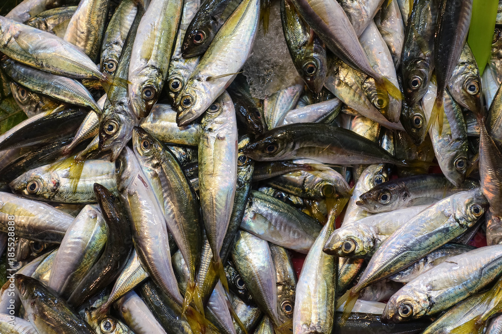 Fresh Fish Heap on Market Stall Resdy For Sale Fresh Fish Heap on Market Stall Resdy For Sale