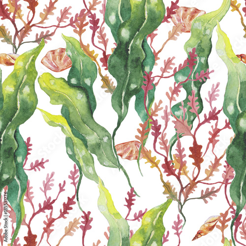 seaweed and Shells on the bottom of the sea. pattern, watercolor