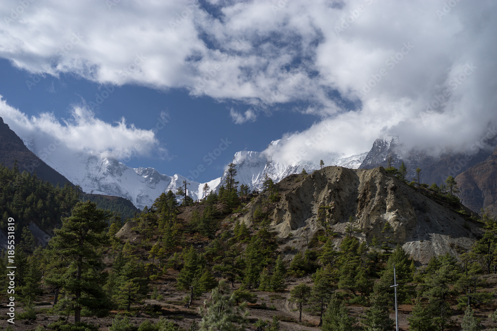 Peak and Forest in the Himalaya mountains, Annapurna region, Nepal Peak and Forest in the Himalaya mountains, Annapurna region, Nepal